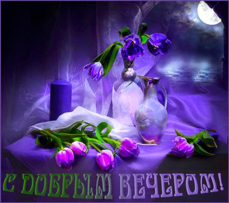 Открытка «Пожелание»: Красивая открытка С добрым вечером с тюльпанами. Тэги: красивая, позитив, цветок, настроение…