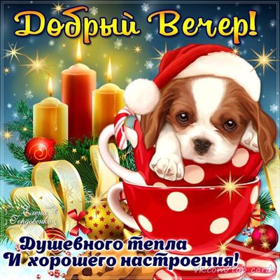 Открытка «Пожелание»: Добрый вечер: щенок, уют и душевное тепло. Тэги: улыбка, шапка, красивая, позитив, радость…