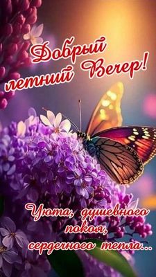 Открытка «Добрый вечер и пожелания»: Нежный летний вечер: бабочка, цветы, душевный покой. Тэги: Добрый вечер красивые…