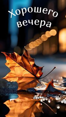 Открытка «Пожелание»: Хорошего вечера: красивая осенняя открытка. Тэги: осень, фонарь, настроение, природа, лист…