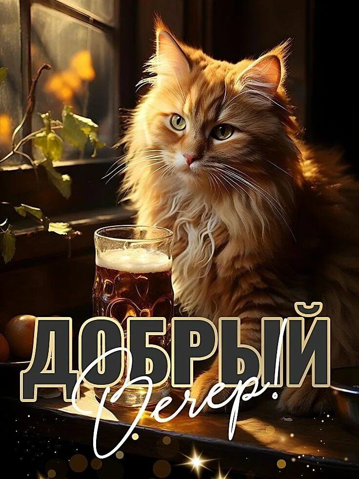 Открытка «Кот»: «Добрый вечер» – уютный кот и теплое пожелание. Тэги: животное, пожелание, улыбка, позитив, радость…