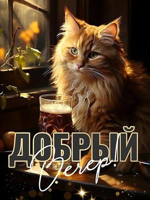 Открытка «Кот»: «Добрый вечер» – уютный кот и теплое пожелание. Тэги: животное, пожелание, улыбка, позитив, радость…