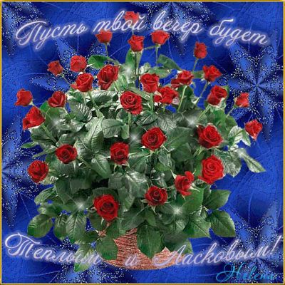 Открытка «Добрый вечер и пожелания»: Нежный вечер с красными розами. Тэги: Добрый вечер красивые, Доброго вечера и хо…