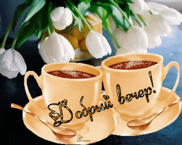 Открытка «Пожелание»: «Добрый вечер!» с кофе и тюльпаном. Тэги: красивая, кофе, позитив, чашка, напиток, настроение…