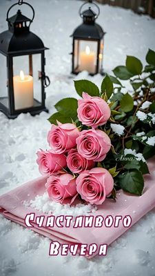 Открытка «Пожелание»: «Счастливого вечера» — нежные розы в зимний уют. Тэги: красивая, позитив, цветок, фонарь…