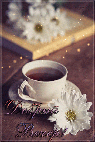 Открытка «Пожелание»: Уютный Добрый Вечер с чашкой чая и цветком. Тэги: красивая, цветок, чай, чашка, настроение…