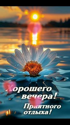 Открытка «Пожелание»: Хорошего вечера! Приятный отдых с цветком. Тэги: красивая, позитив, цветок, настроение, нежная…