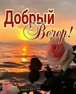 Открытка «Пожелание»: «Добрый вечер» с нежной розой на закате. Тэги: красивая, позитив, цветок, настроение, нежная…