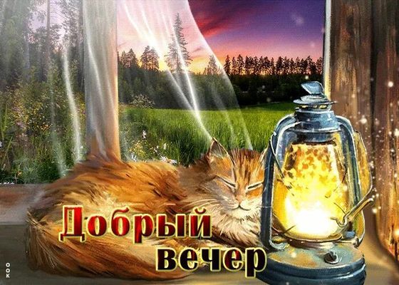 Открытка «Кот»: «Добрый вечер»: уютный кот и тепло фонаря. Тэги: животное, пожелание, красивая, позитив, окно, фонарь…