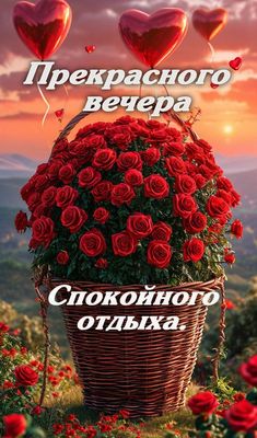 Открытка «Добрый вечер и пожелания»: «Прекрасного вечера» и спокойного отдыха с розами. Тэги: Добрый вечер женщине…