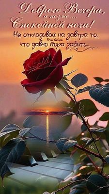 Открытка «Пожелание»: Вечер, ночь, роза: спокойного отдыха и мудрости. Тэги: красивая, цветок, стих, мудрость, нежная…