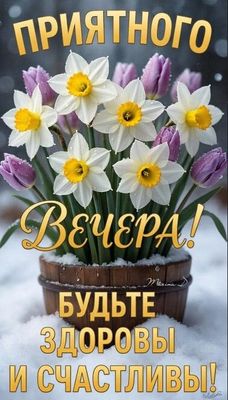 Открытка «Добрый вечер и пожелания»: Красивая открытка: Приятного вечера, будьте здоровы!. Тэги: Добрый зимний вечер…
