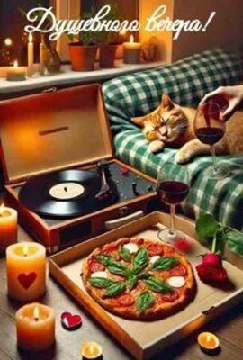 Открытка «Кот»: Душевного вечера! Уютный кот и вино. Тэги: пожелание, красивая, позитив, сердце, настроение, милая…