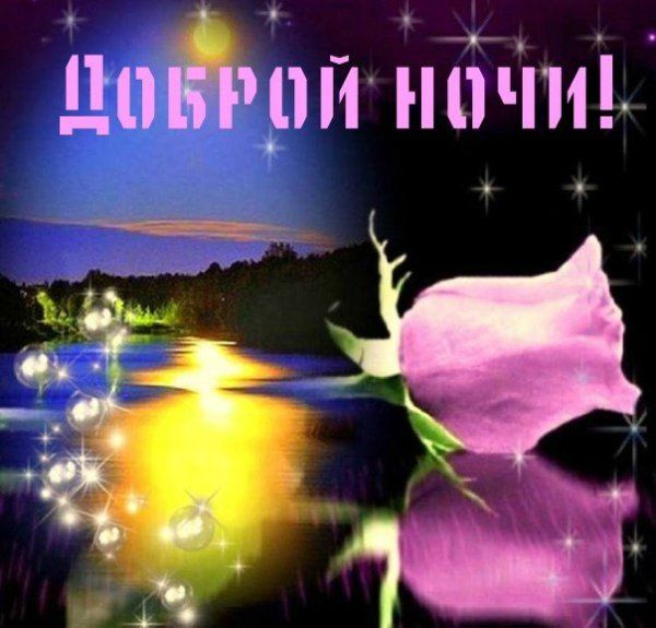 Открытка «Пожелание»: Доброй ночи! Красивая роза и мерцающий пейзаж. Тэги: красивая, цветок, настроение, нежная…