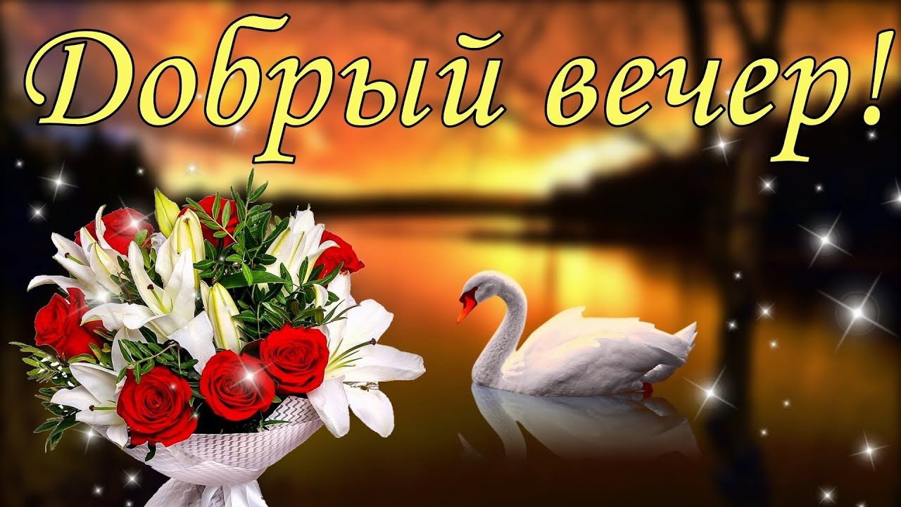 Открытка «Животное»: Добрый вечер! Красивый букет и лебедь. Тэги: красивая, позитив, радость, цветок, настроение…
