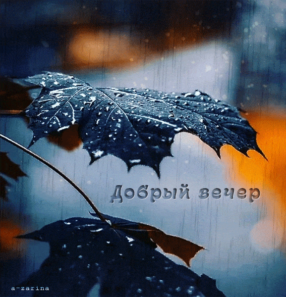 Открытка «Добрый вечер и пожелания»: «Добрый вечер» – нежная открытка с осенним листом и дождем. Тэги: Доброго вечера…