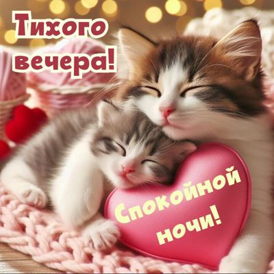 Открытка «Кот»: Милые котята: Тихого вечера и Спокойной ночи!. Тэги: животное, пожелание, позитив, радость, сердце…