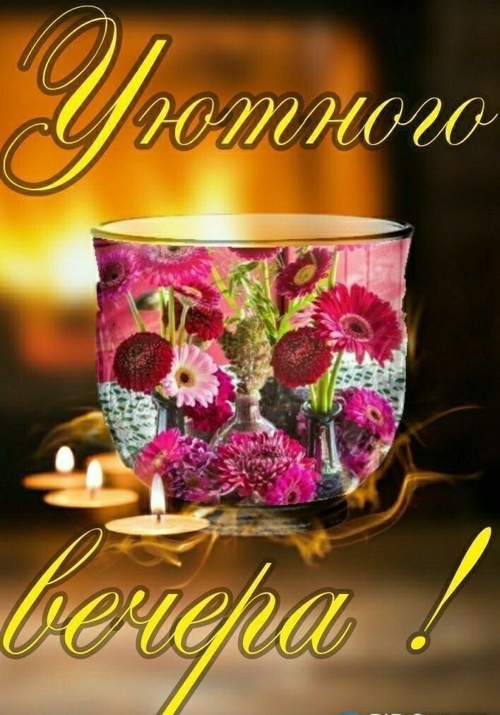Открытка «Пожелание»: Уютного вечера! Красивое пожелание с цветами и свечами. Тэги: красивая, позитив, радость, цветок…