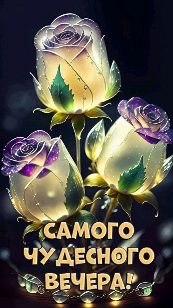 Открытка «Пожелание»: Самого чудесного вечера – красивые розы для настроения. Тэги: красивая, цветок, настроение…
