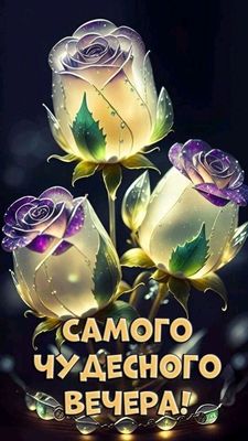 Открытка «Пожелание»: Самого чудесного вечера – красивые розы для настроения. Тэги: красивая, цветок, настроение…