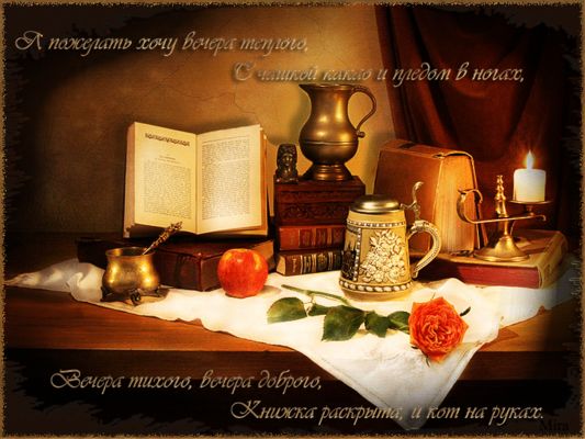 Открытка «Кот»: Уютный вечер: пожелание с книгой и какао. Тэги: пожелание, красивая, позитив, стих, настроение, книга…