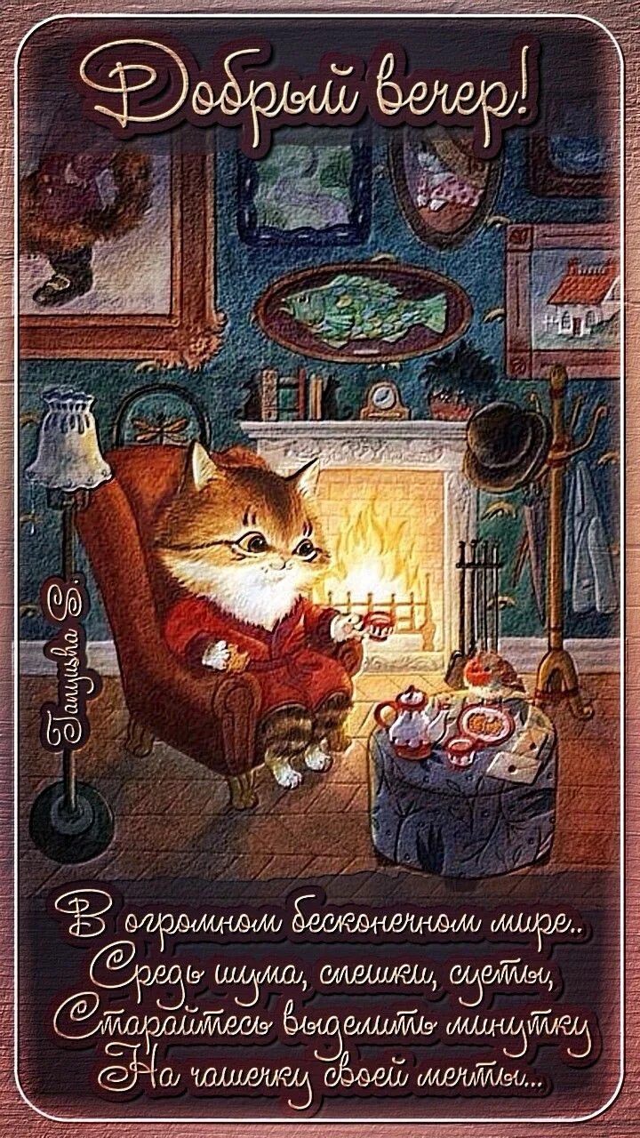 Открытка «Кот»: Добрый вечер: Уютный кот, чай и минутка для мечты. Тэги: животное, пожелание, очки, чай, печенье…