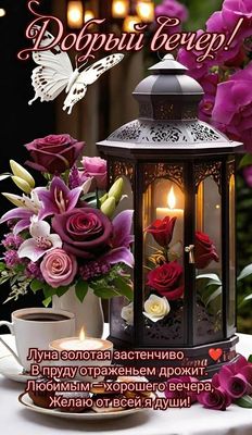 Открытка «Пожелание»: «Добрый вечер» любимым: теплая открытка с пожеланием. Тэги: красивая, цветок, чашка, фонарь…