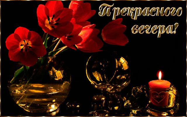 Открытка «Пожелание»: Прекрасного вечера! Открытка с нежными тюльпанами и свечой. Тэги: красивая, сердце, цветок…