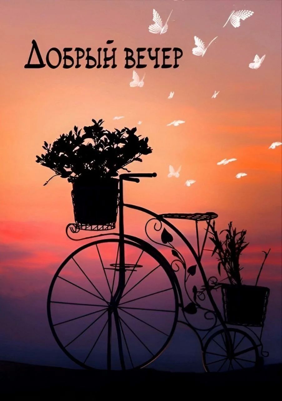 Открытка «Пожелание»: «Добрый вечер»: нежная открытка с закатом и бабочками. Тэги: красивая, позитив, радость, цветок…