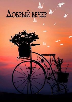Открытка «Пожелание»: «Добрый вечер»: нежная открытка с закатом и бабочками. Тэги: красивая, позитив, радость, цветок…