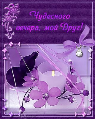 Открытка «Пожелание»: «Чудесного вечера, мой Друг!» Нежная открытка. Тэги: друг, красивая, позитив, радость, цветок…