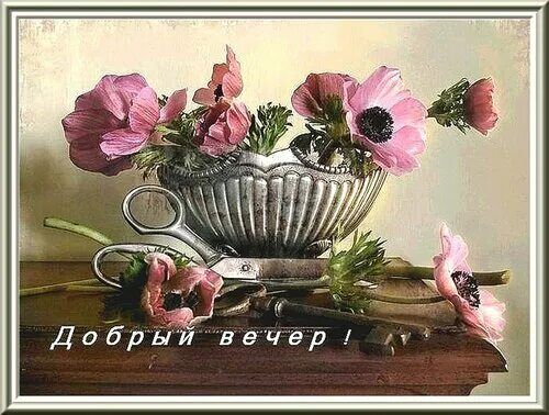 Открытка «Пожелание»: Добрый вечер! Нежный цветок для уютного вечера. Тэги: красивая, цветок, настроение, нежная…