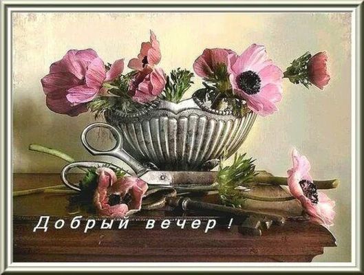 Открытка «Пожелание»: Добрый вечер! Нежный цветок для уютного вечера. Тэги: красивая, цветок, настроение, нежная…