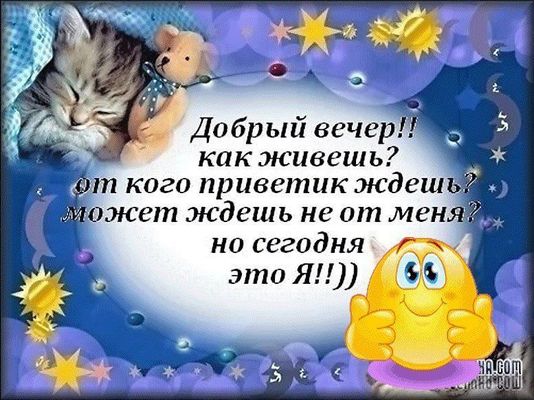 Открытка «Кот»: Добрый вечер! Позитивная открытка с котиком и смайликом. Тэги: животное, пожелание, прикольная, улыбка…