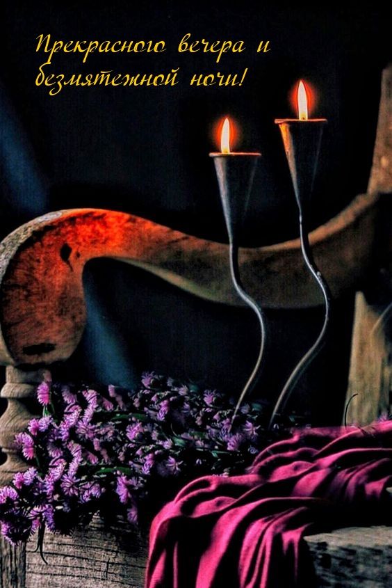 Открытка «Пожелание»: Открытка: прекрасного вечера и безмятежной ночи. Тэги: красивая, цветок, настроение, нежная…