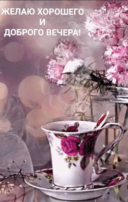 Открытка «Пожелание»: «Добрый вечер» и уютное пожелание с цветами. Тэги: красивая, позитив, радость, цветок, чашка…