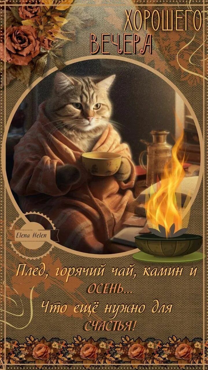 Открытка «Добрый вечер красивые»: «Хорошего вечера» с котом, чаем и камином. Тэги: Прикольный добрый вечер, Доброго в…
