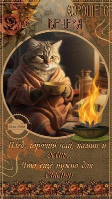 Открытка «Добрый вечер красивые»: «Хорошего вечера» с котом, чаем и камином. Тэги: Прикольный добрый вечер, Доброго в…