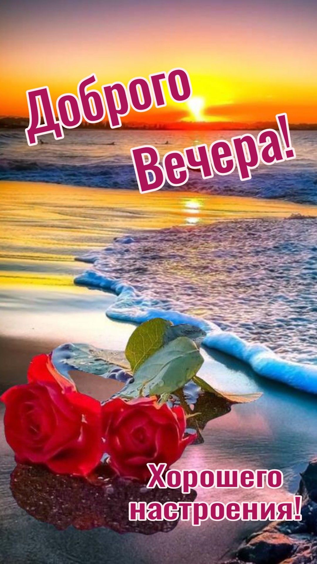 Открытка «Пожелание»: Добрый вечер: розы на берегу моря, красивый закат. Тэги: красивая, позитив, радость, цветок…