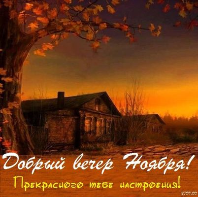Открытка «Пожелание»: Добрый вечер ноября! Прекрасное осеннее настроение. Тэги: красивая, позитив, радость, осень…