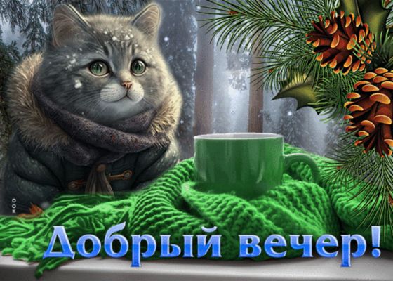 Открытка «Кот»: Добрый вечер! Милый кот, снег и чашка чая. Тэги: животное, пожелание, позитив, чай, окно, настроение…