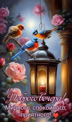 Открытка «Животное»: Открытка «Доброго вечера!» — птицы, розы, фонарь. Тэги: пожелание, красивая, позитив, радость…