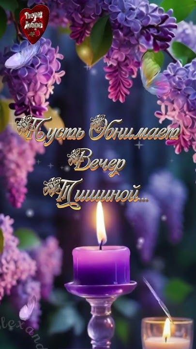 Открытка «Пожелание»: Вечернее пожелание: нежная открытка для души. Тэги: красивая, позитив, цветок, настроение…