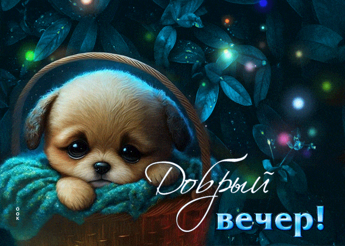 Открытка «Добрый вечер и пожелания»: Добрый вечер! Милый щенок в корзинке. Тэги: Добрый вечер красивые, Доброго вечер…