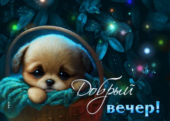 Открытка «Добрый вечер и пожелания»: Добрый вечер! Милый щенок в корзинке. Тэги: Добрый вечер красивые, Доброго вечер…