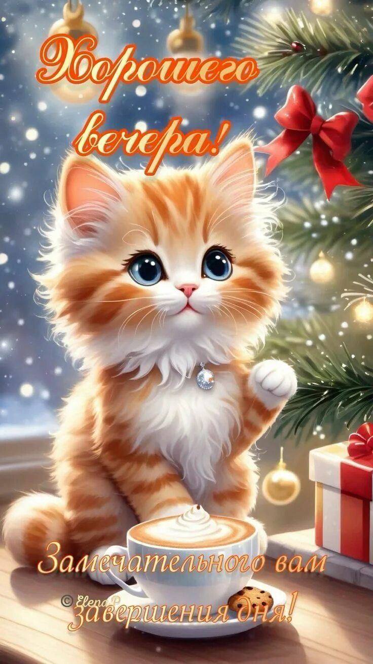 Открытка «Кот»: Милый кот и уютный вечер: «Хорошего вечера!». Тэги: животное, пожелание, красивая, кофе, позитив…