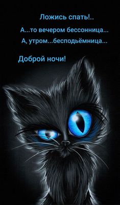 Открытка «Кот»: Доброй ночи! Прикольный кот желает сладких снов. Тэги: животное, пожелание, юмор, прикольная, смешная…