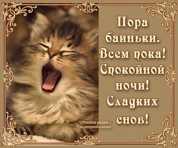 Открытка «Кот»: Милый кот желает сладких снов и спокойной ночи!. Тэги: животное, пожелание, позитив, радость, счастье…