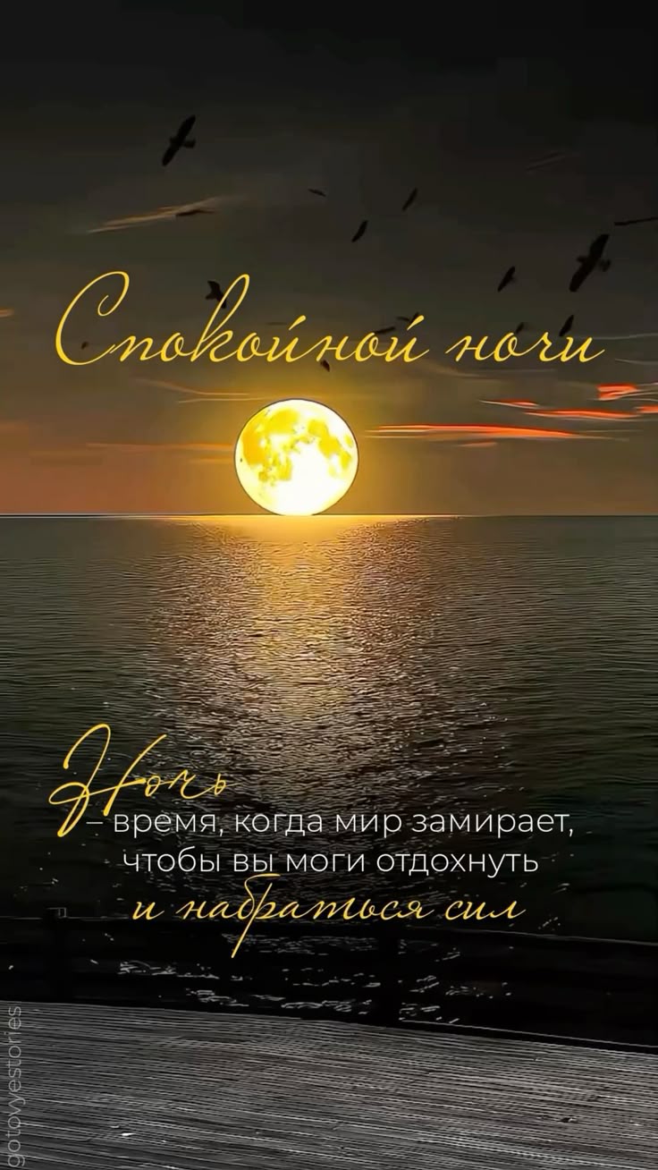 Открытка «Пожелание»: Красивая открытка: Спокойной ночи у моря под луной. Тэги: красивая, позитив, настроение, птица…