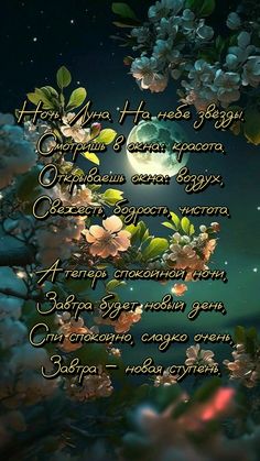 Открытка «Пожелание»: «Спокойной ночи: Луна, звезды и нежные пожелания». Тэги: красивая, цветок, нежная, природа…